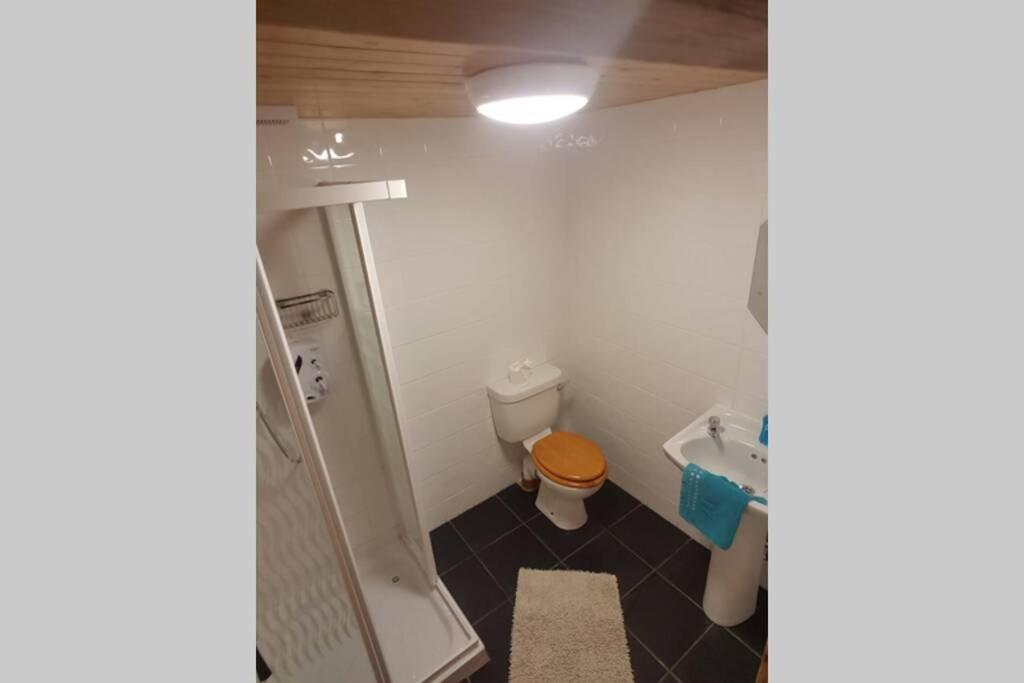 Cottage Ideal For Family'S & Private Lake Access County Leitrim エクステリア 写真